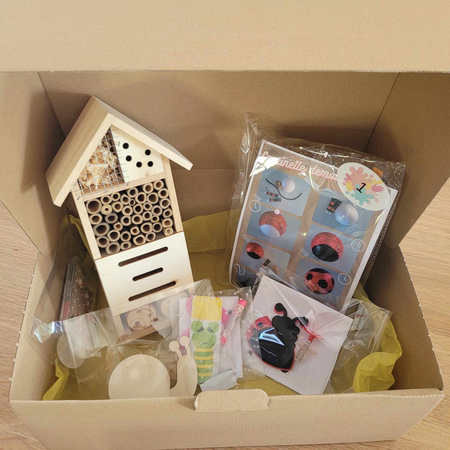 Box 2-4 ans : Coucou, chez les petites bêtes !