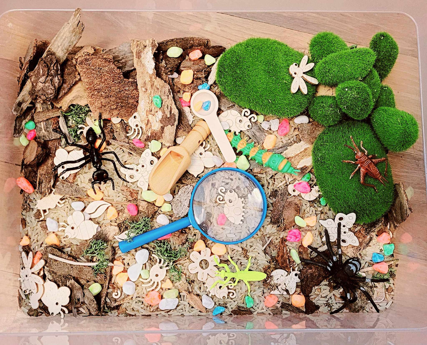 Mes premiers bruits de petites bêtes