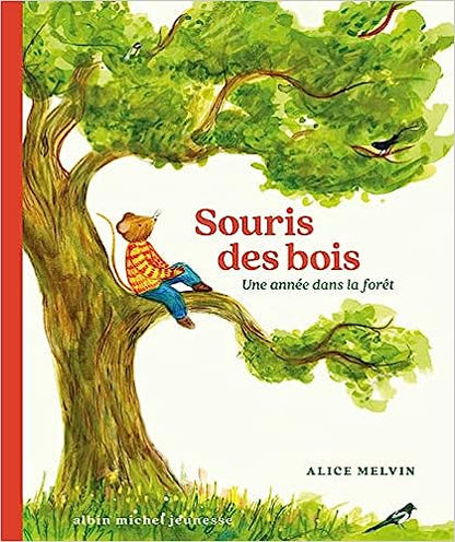 Box 2-4 ans : Souris des bois